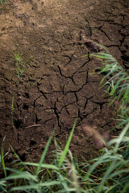 https://www.brabantsedelta.nl/al-weken-geen-regen-extra-droogtemaatregelen